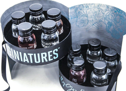 Gin Tasting Gift Pack 10 Giniatures in Beautiful Gift Box. 10x3cl - The Really Good Whisky Company